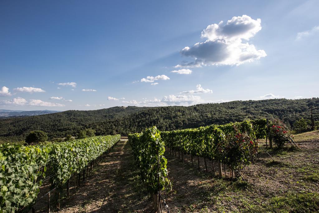 Casa Guaitoli Villa Bagni Di Petriolo Kültér fotó