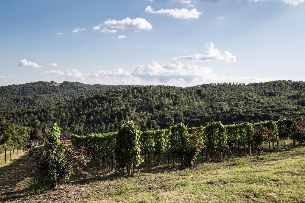 Casa Guaitoli Villa Bagni Di Petriolo Kültér fotó
