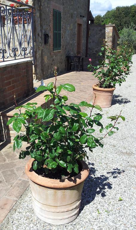Casa Guaitoli Villa Bagni Di Petriolo Kültér fotó