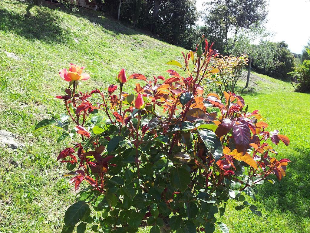 Casa Guaitoli Villa Bagni Di Petriolo Kültér fotó